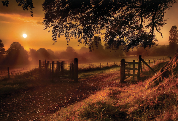 Sunrise - Amazing Morning Sceneries
