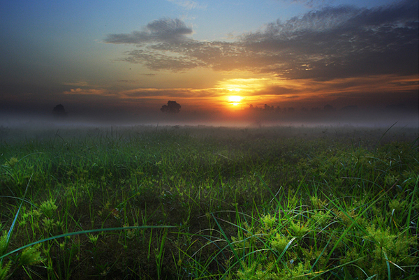 Sunrise - Amazing Morning Sceneries
