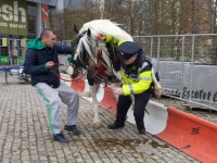 When a horse took ‘fuck the police’ a bit too literally