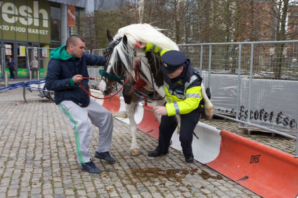 When a horse took ‘fuck the police’ a bit too literally