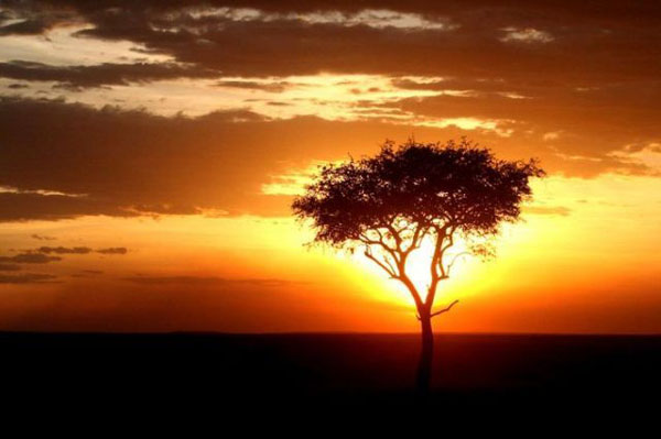 sunset02 Sunset - the most beautiful daily sights