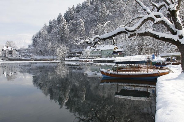 Lake Bled