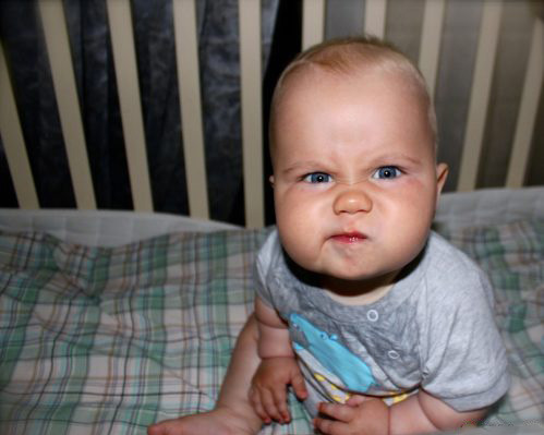 Funny babies facial expressions