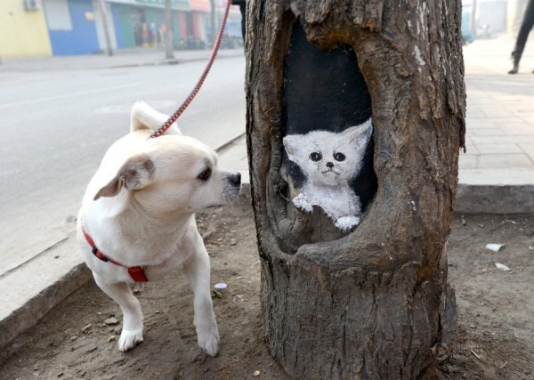 Arts in tree holes