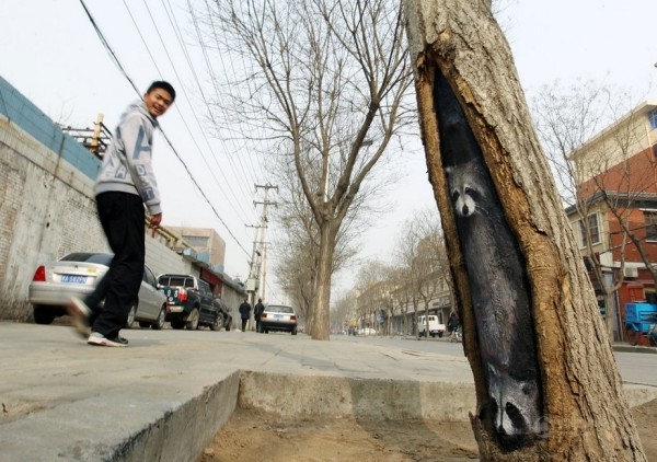 Arts in tree holes