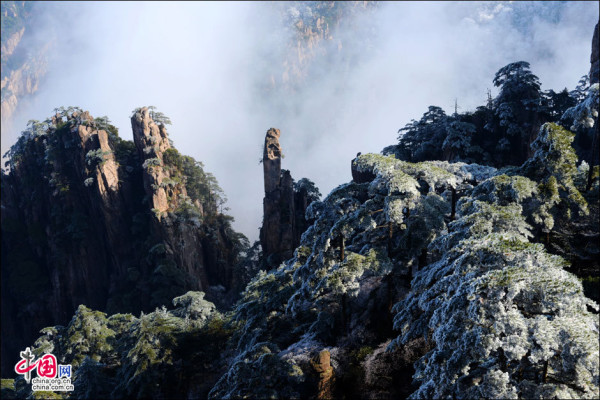 Beautiful rime in Mt. Huangshan, China