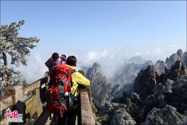 Beautiful rime in Mt. Huangshan, China