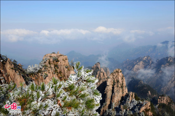 Beautiful rime in Mt. Huangshan, China