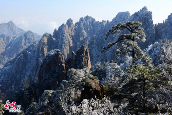 Beautiful rime in Mt. Huangshan, China