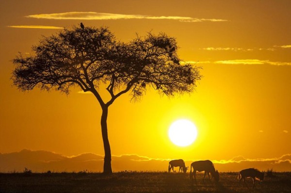 sunset sunrise01 600x399 Breathtaking Sunsets and Sunrises around the World