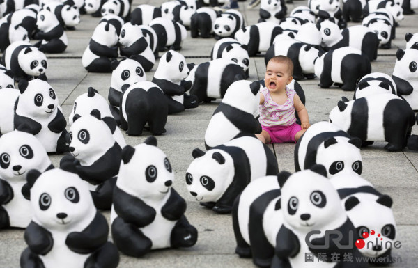 Open air Exhibition Pandas World Tour   Taipei, China