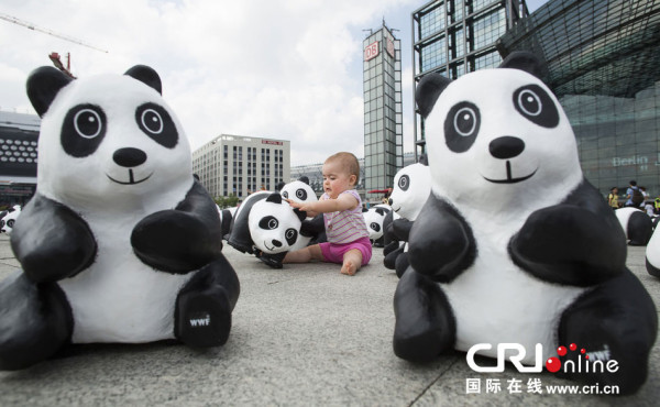 Open air Exhibition Pandas World Tour   Taipei, China