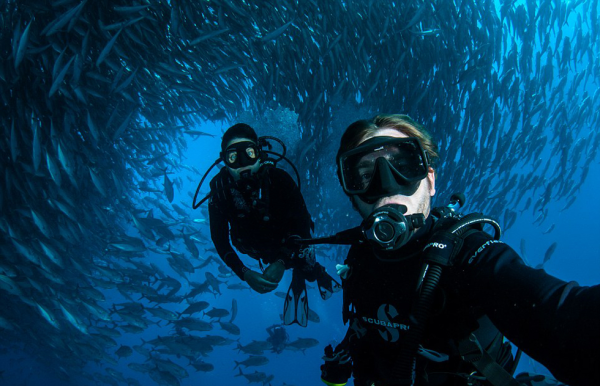 Divers swarmed by thousands of fish