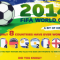 2014 FIFA World Cup Infographic