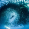 Divers swarmed by thousands of fish