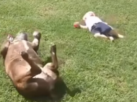 Funny Kids Fails Compilation