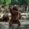 Brown bear waves his paw at visitors to his enclosure