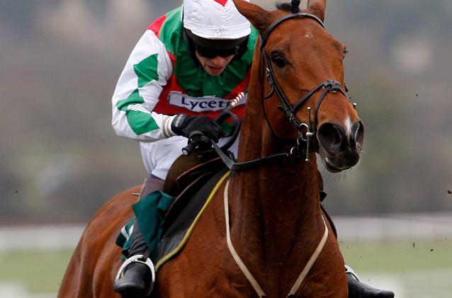 UK Grand National 2010 - Tricky Trickster