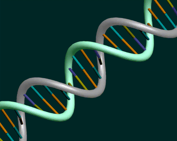 17 Things You Should Know About DNA