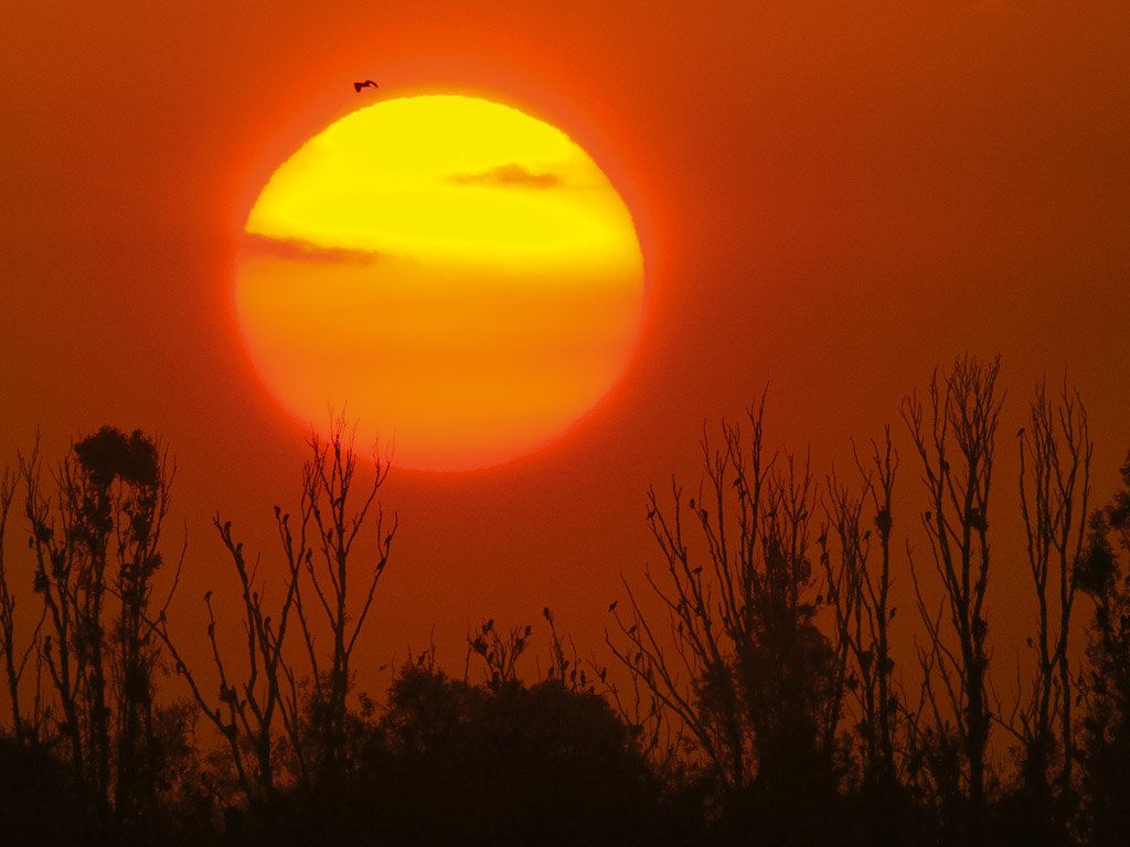 Sunset in Kopacki rit Nature Park, Croatia