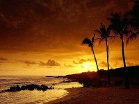 Beautiful Sunset Photos