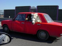 Funny Ferrari