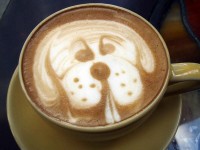 Amazing coffee arts