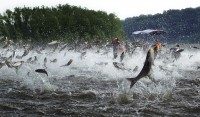This is a fisherman’s dream