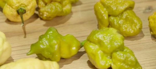 The Hottest Peppers In The World – The Scoville Scale